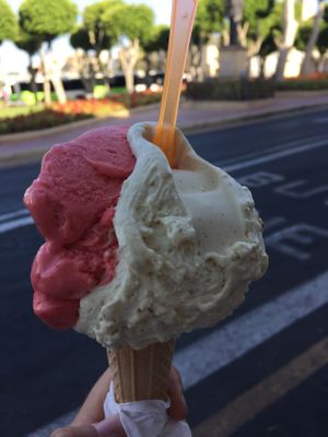 Strawberry and figs ice cream  at Vanilla Plus Gelateria Artigianale in Gozo