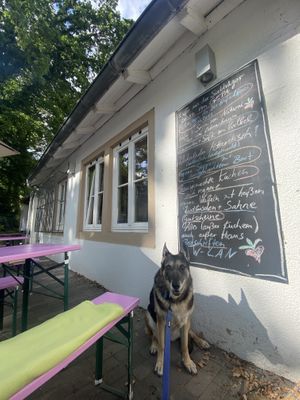   at Radieschen in Bremen