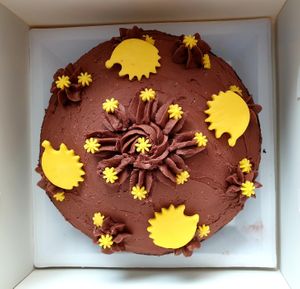 hedgehog chocolate cake at 280 Bakes in Bristol