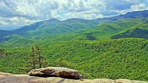 Detox and Hiking and Walking at Circle of Life Holistic Life Coaching in Burnsville