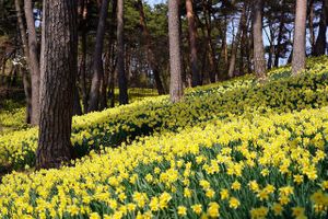 Open throughout the Year at Circle of Life Holistic Life Coaching in Burnsville