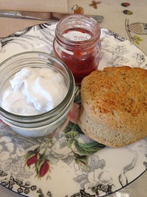 Scone with coconut cream and jam at Forest View Tea House in Idyllwild