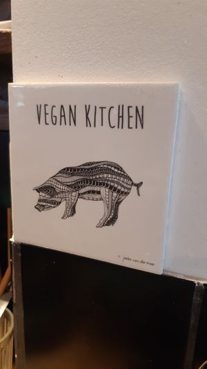  at Life Bar in Leuven