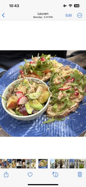   at Life Bar in Leuven