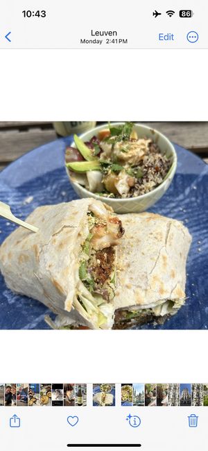   at Life Bar in Leuven