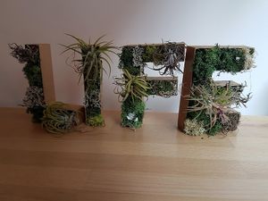 LIFE BAR at Life Bar in Leuven