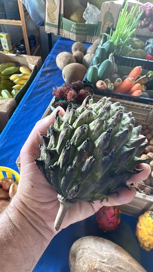 Annona Custard apple at Vegan Farmacy in Fort Pierce