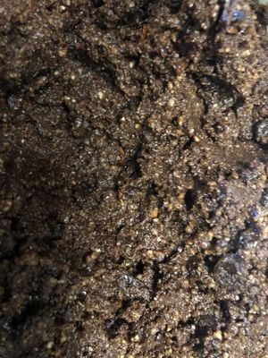 Double Cacao chip raisin cookie dough....if we don’t eat all the dough..... at Vegan Farmacy in Fort Pierce