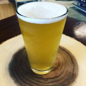 Moe’s Kombucha...Vitality on Tap ice cold and goes great with Raw Vegan Cuisine at Vegan Farmacy in Fort Pierce