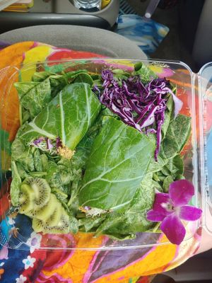 "Tuna" wrap at Vegan Farmacy in Fort Pierce