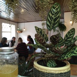 Lunch and plants in El Herbario at Casa Herbolario in Bogota
