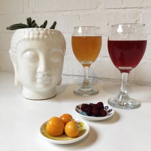 Homemade kombucha at Casa Herbolario in Bogota