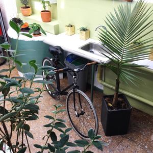Come on your bicycle! at Casa Herbolario in Bogota