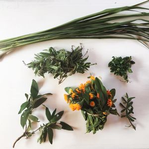 Organic Herbs  at Casa Herbolario in Bogota