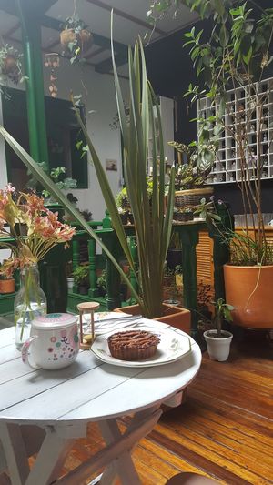 What I ate with the decor at Casa Herbolario in Bogota