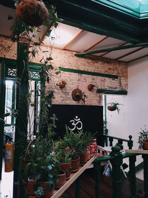 Beautiful decoration at Casa Herbolario in Bogota