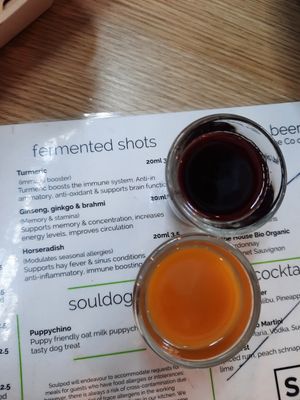 Ginseng and Horserdish shots at SoulPod Foods in Croydon