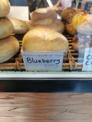 Organic sourdough vegan blueberry at SF Bagel in Seoul