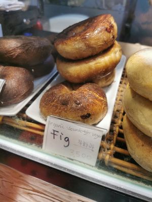 Organic sourdough vegan fig (cinnamon raisin) at SF Bagel in Seoul