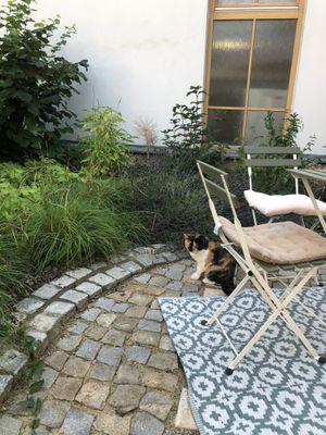 Visitor😄 at Fryends in Brno