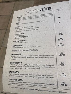 Menu only in Czech! Use google translator camera😄 at Fryends in Brno