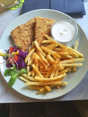 Smažák  at Fryends in Brno