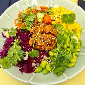 Teriyaki bowl at Fryends in Brno