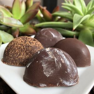 Truffles at HaleLife Bistro & Bakery in St Petersburg