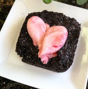 Raspberry Brownie at HaleLife Bistro & Bakery in St Petersburg