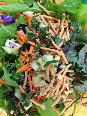 Asian Style Wrap at Wrappin & Rollin in Roseburg