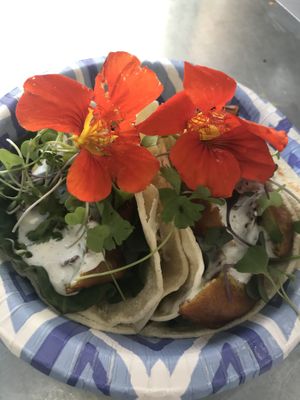 Tofu tacos at Wrappin & Rollin in Roseburg