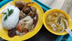 Hainanese Curry Rice at Bodhi Deli - 菩提斋 in Central Singapore