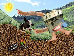 fair trade coffee at Tři Ocásci in Brno