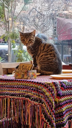 Reserve! at Cafe Naftalin K in Istanbul