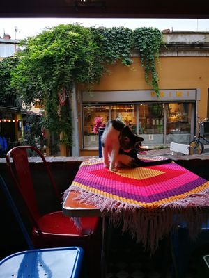  at Cafe Naftalin K in Istanbul