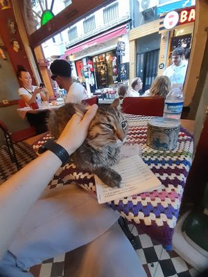  at Cafe Naftalin K in Istanbul