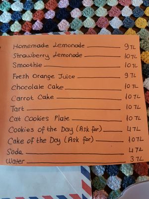 Menu at Cafe Naftalin K in Istanbul