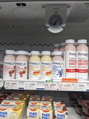 Forager yogurt smoothies at Natural Grocers in Reno