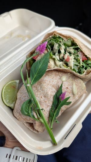 Vegan cesar wrap to go at a'a Roots Health Cafe in Lahaina