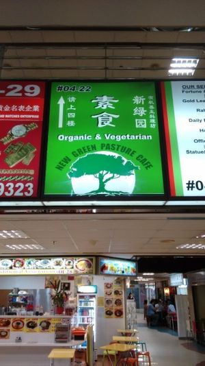 This food court is great. at New Green Pasture Cafe 新绿园 in Central Singapore