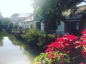 Outside seating by the river  at Colours Cafe & Wellbeing Centre in Truro