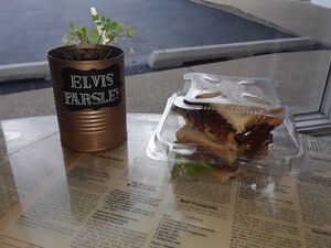 Elvis Parsley!! at Green is Good by Kate in Crown Point