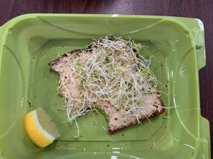 Hummus toast (and big ass plastic container 😞). at Superfruit Republic in Denver