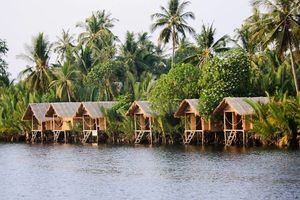 Can't get any closer than this! at Eden Eco Village in Kampot