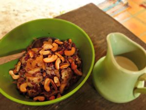 Organic Asian grains porridge with coconut milk at Eden Eco Village in Kampot