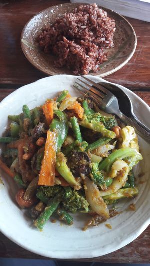 Char Bonlai. Stir fried carrot, green pepper, onion, green beans, cabbage, cauliflower. Add cashews, tofu, egg, mushrooms or peanuts at Eden Eco Village in Kampot