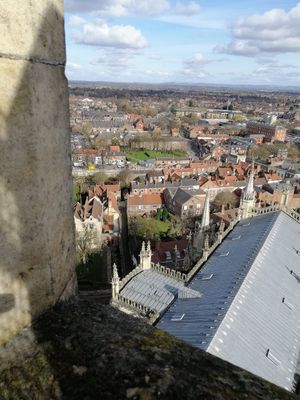 A view from the minster.... at True Story in York