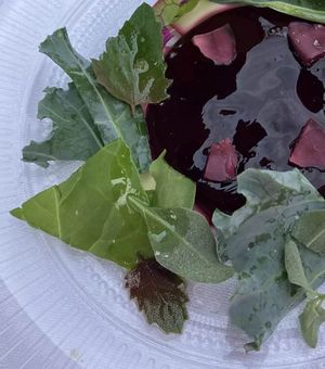  at Restaurant Moment in Roende