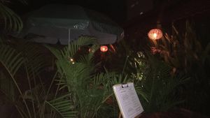 Pretty  at Moringa in Siem Reap