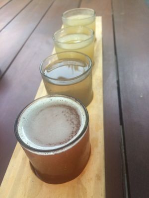 Flight of Kombucha! Raspberry + lime, strawberry & twice the moringa ice tea as they were out of the other flavours  at Moringa in Siem Reap